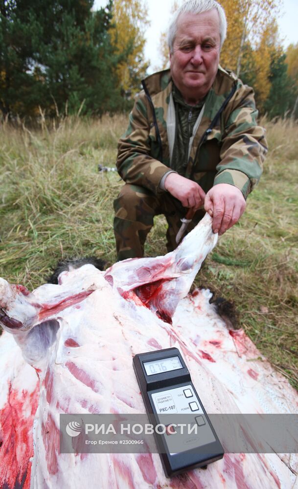 Охота на кабана в Могилевской области
