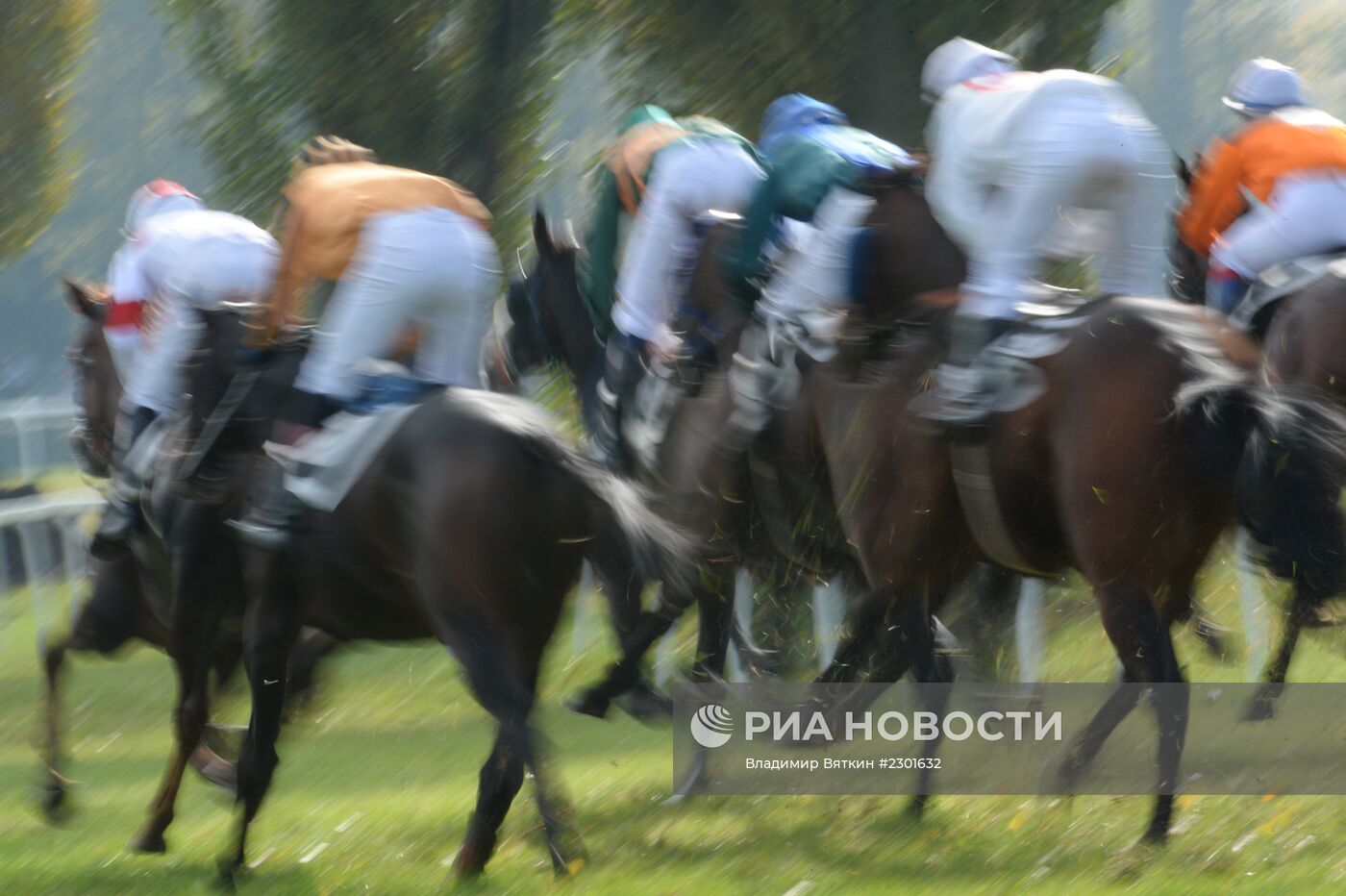 Конный спорт. Большие Пардубицкие скачки в Чехии