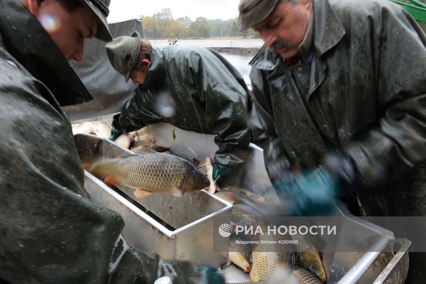 Праздник рыбаков в Чехии