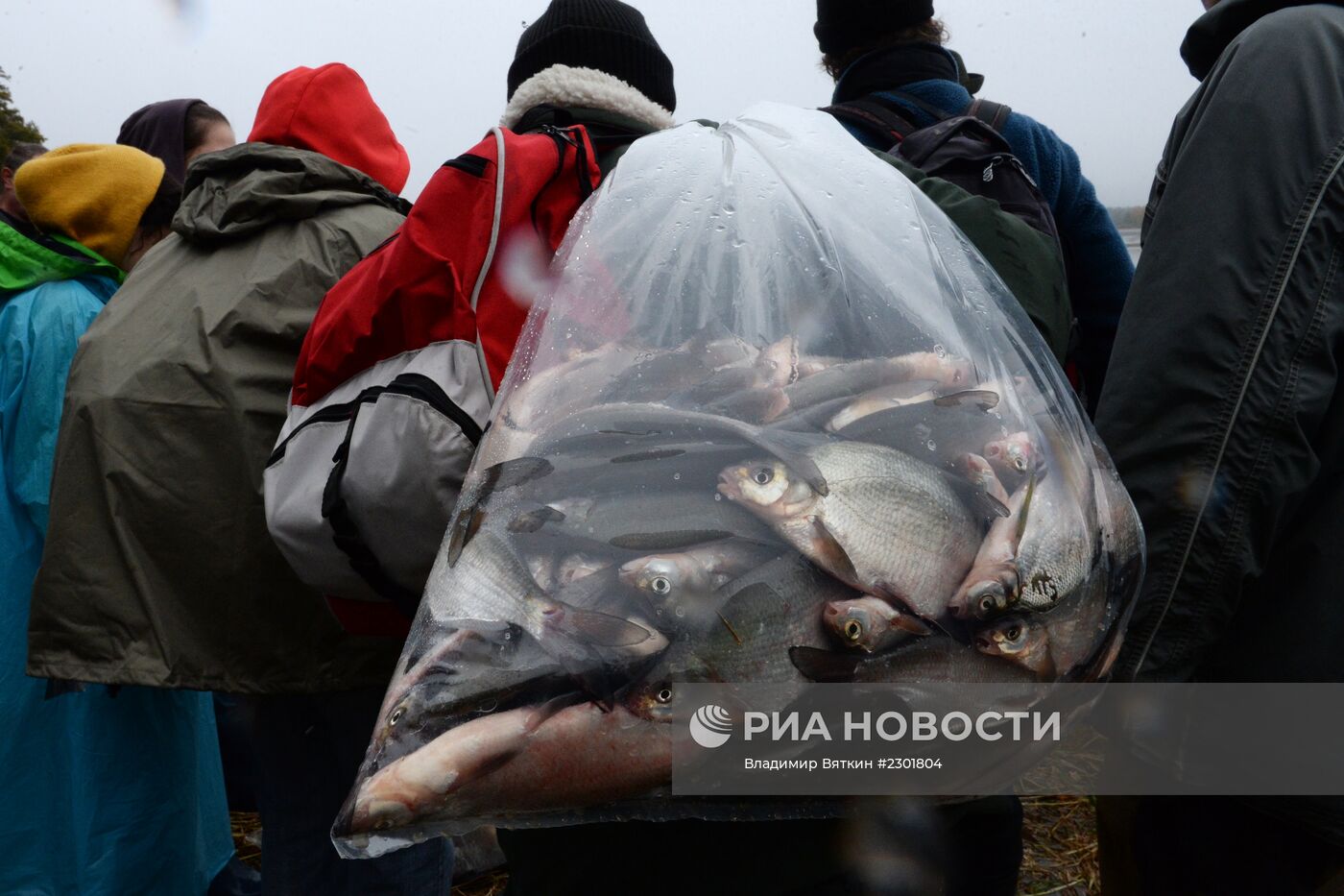 Праздник рыбаков в Чехии