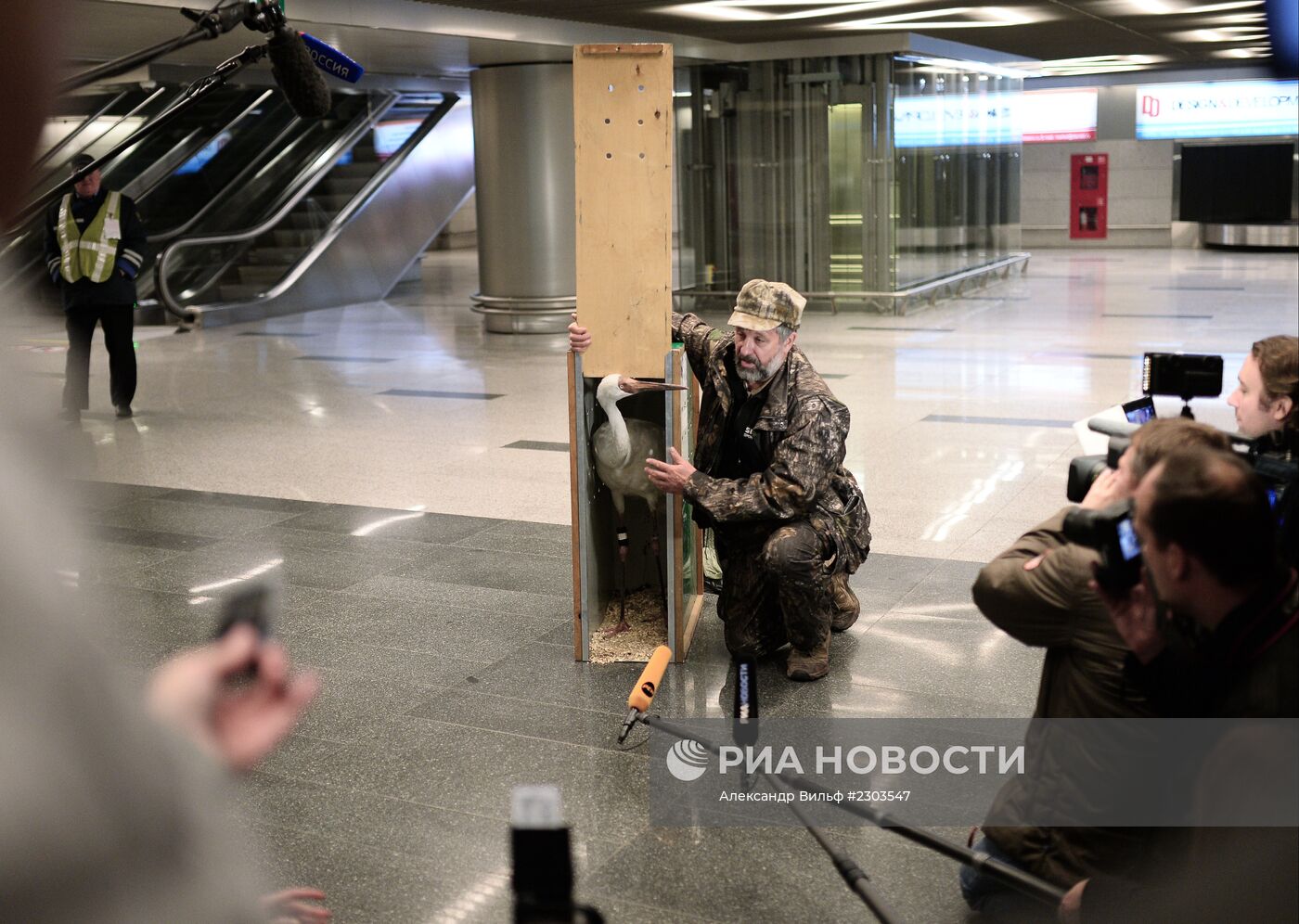 Найденного под Тюменью стерха Путина привезли в Москву