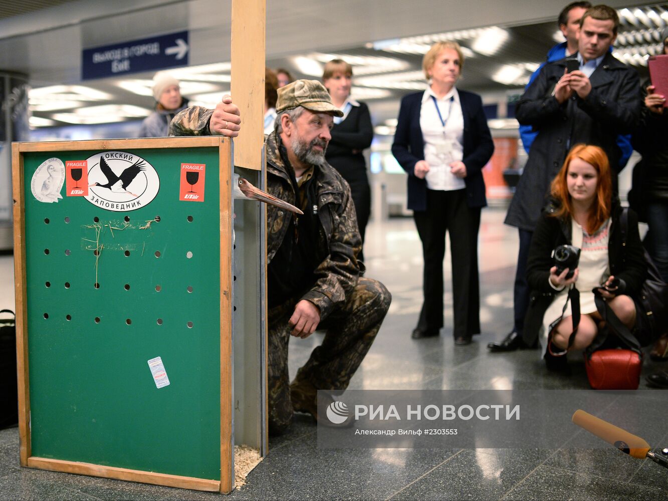 Найденного под Тюменью стерха Путина привезли в Москву