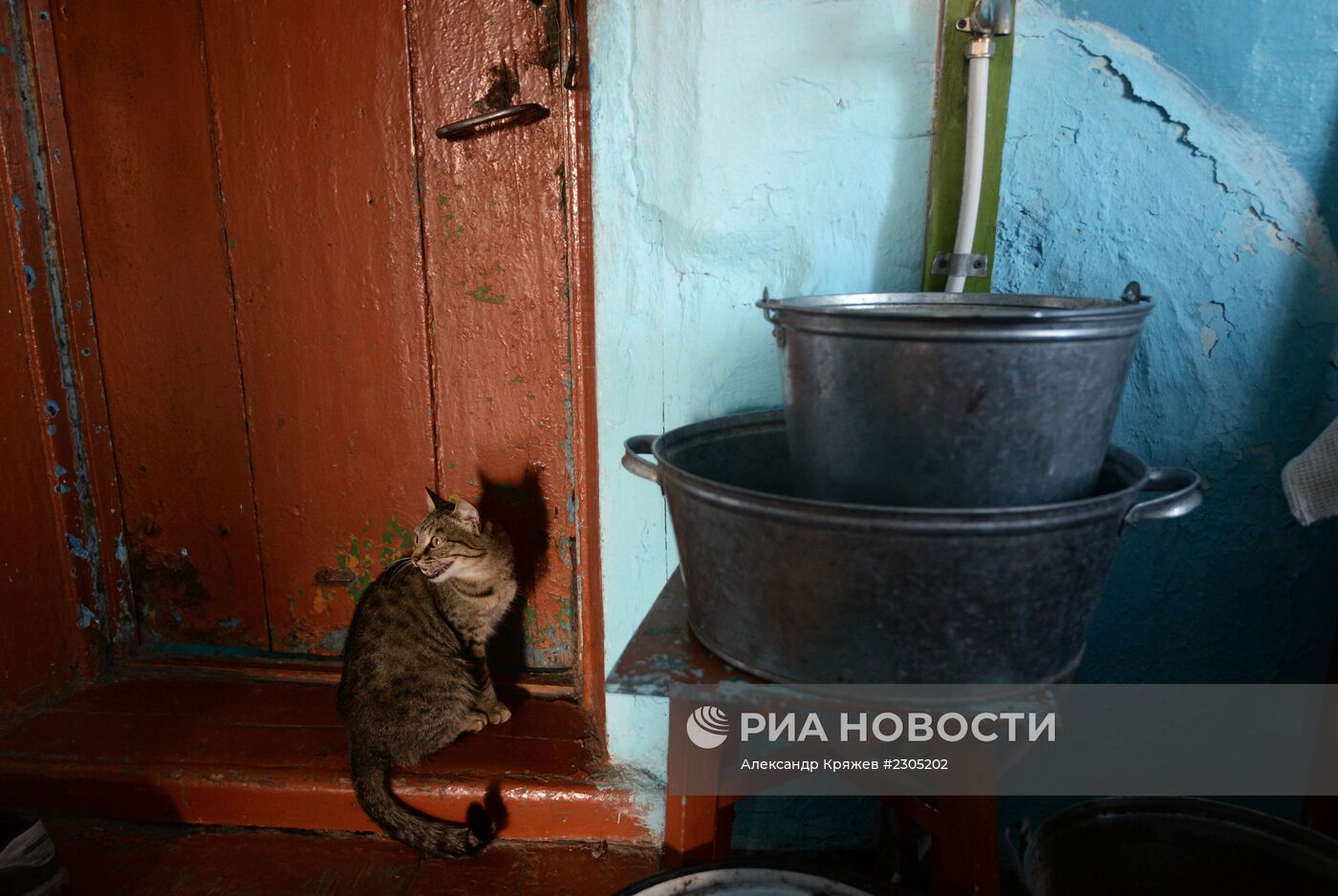 Жизнь деревень в Новосибирской области