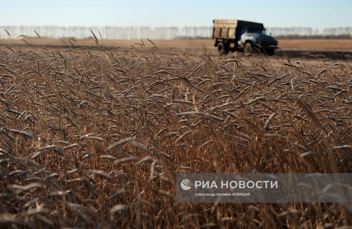 Жизнь деревень в Новосибирской области