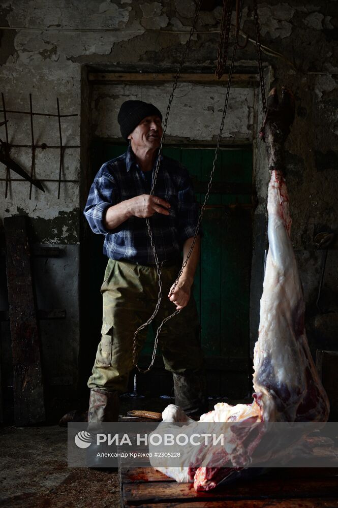 Жизнь деревень в Новосибирской области