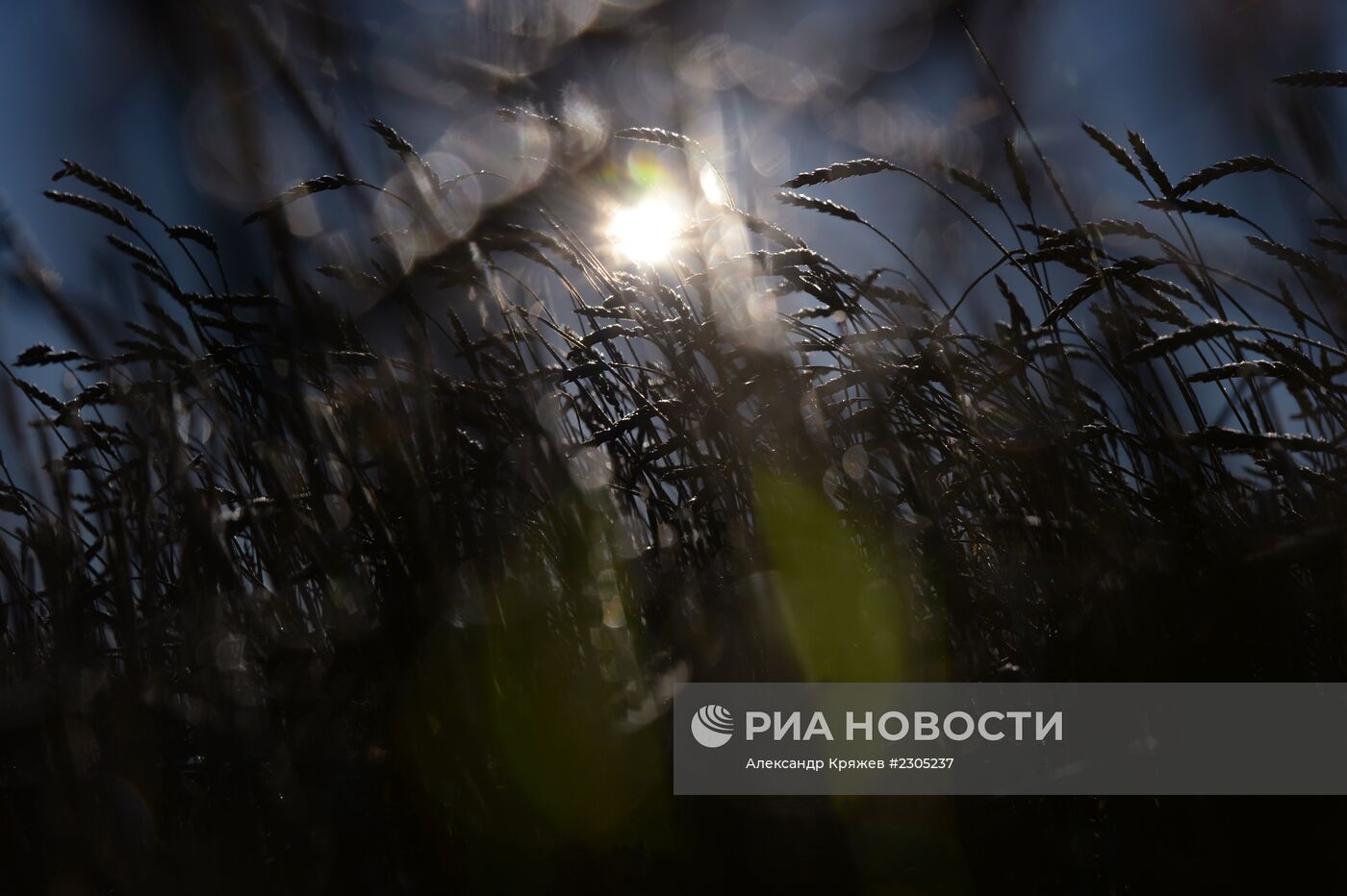 Жизнь деревень в Новосибирской области