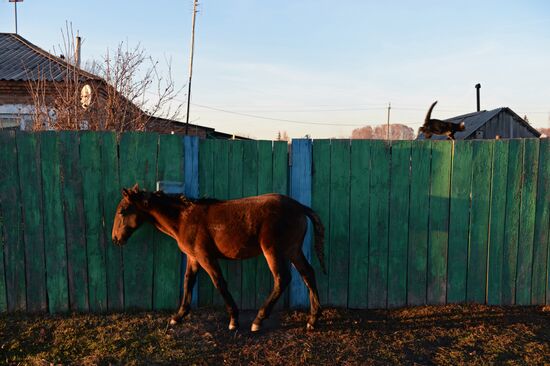 Жизнь деревень в Новосибирской области