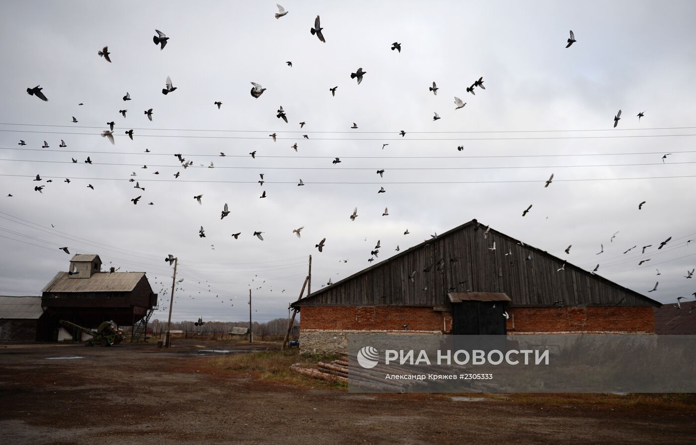 Жизнь деревень в Новосибирской области