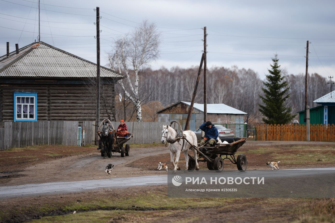 Жизнь деревень в Новосибирской области
