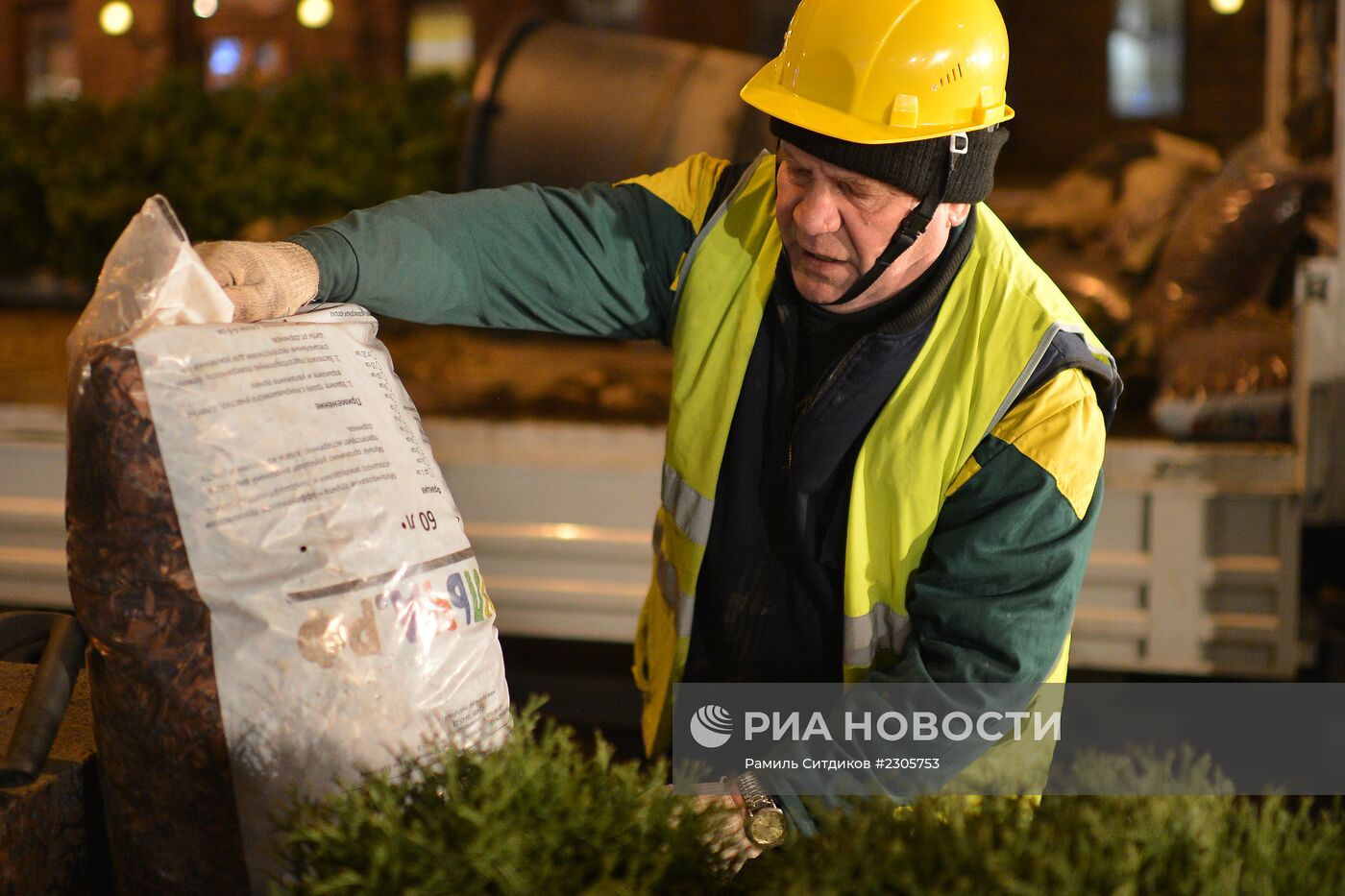 Высадка деревьев "зимних" пород на Тверской улице