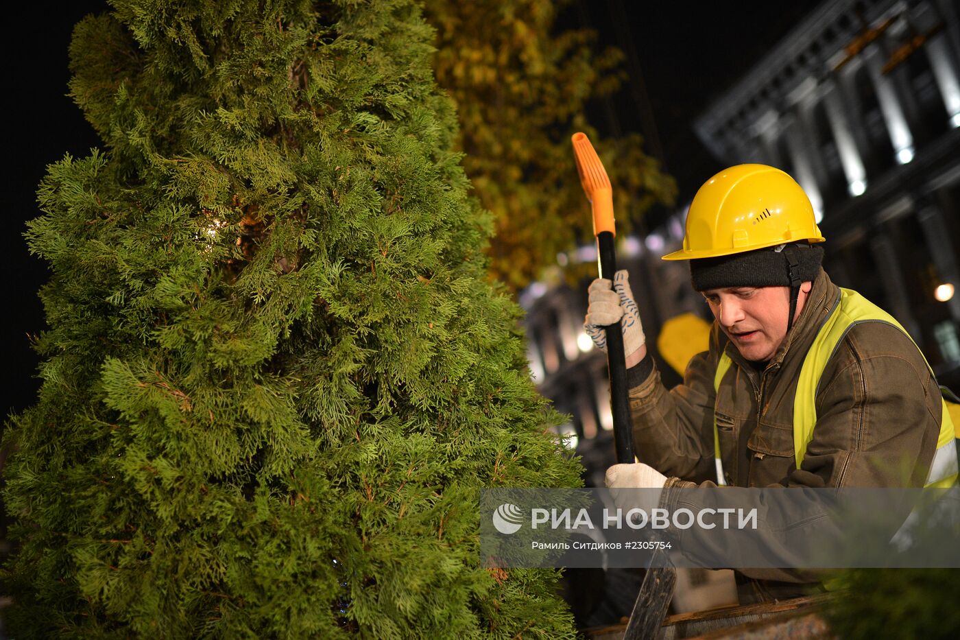 Высадка деревьев "зимних" пород на Тверской улице