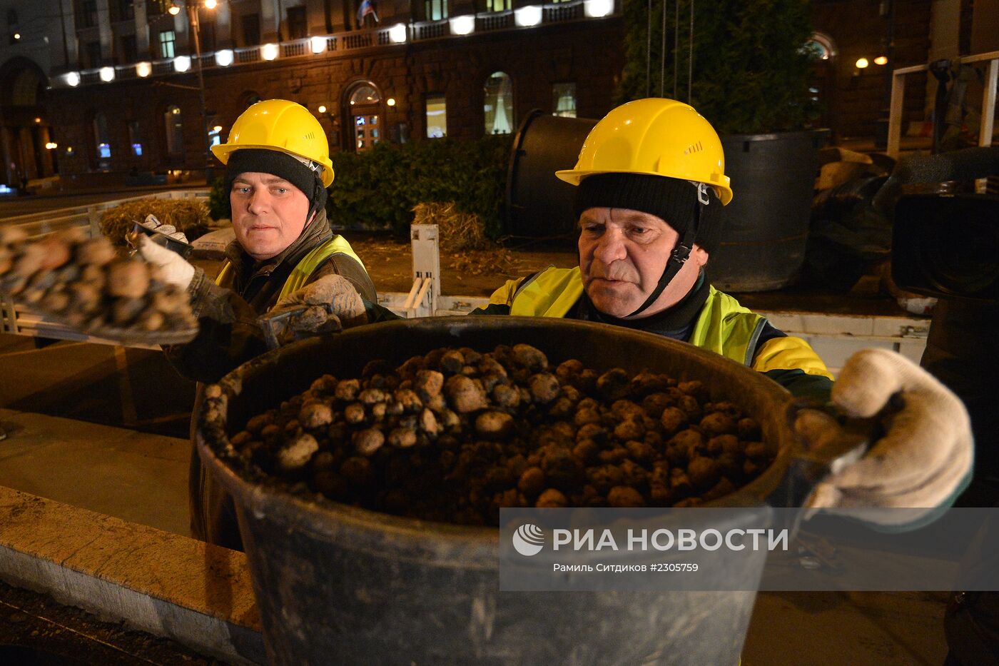 Высадка деревьев "зимних" пород на Тверской улице