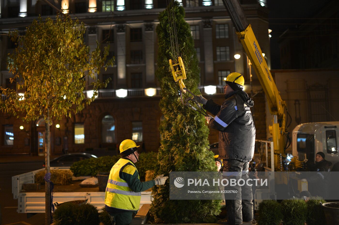 Высадка деревьев "зимних" пород на Тверской улице