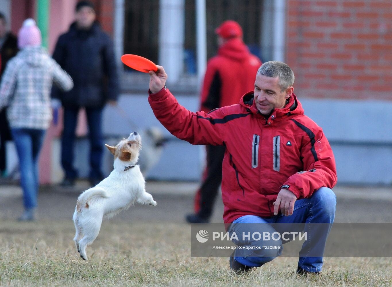 Соревнования по дог-фризби в Челябинске