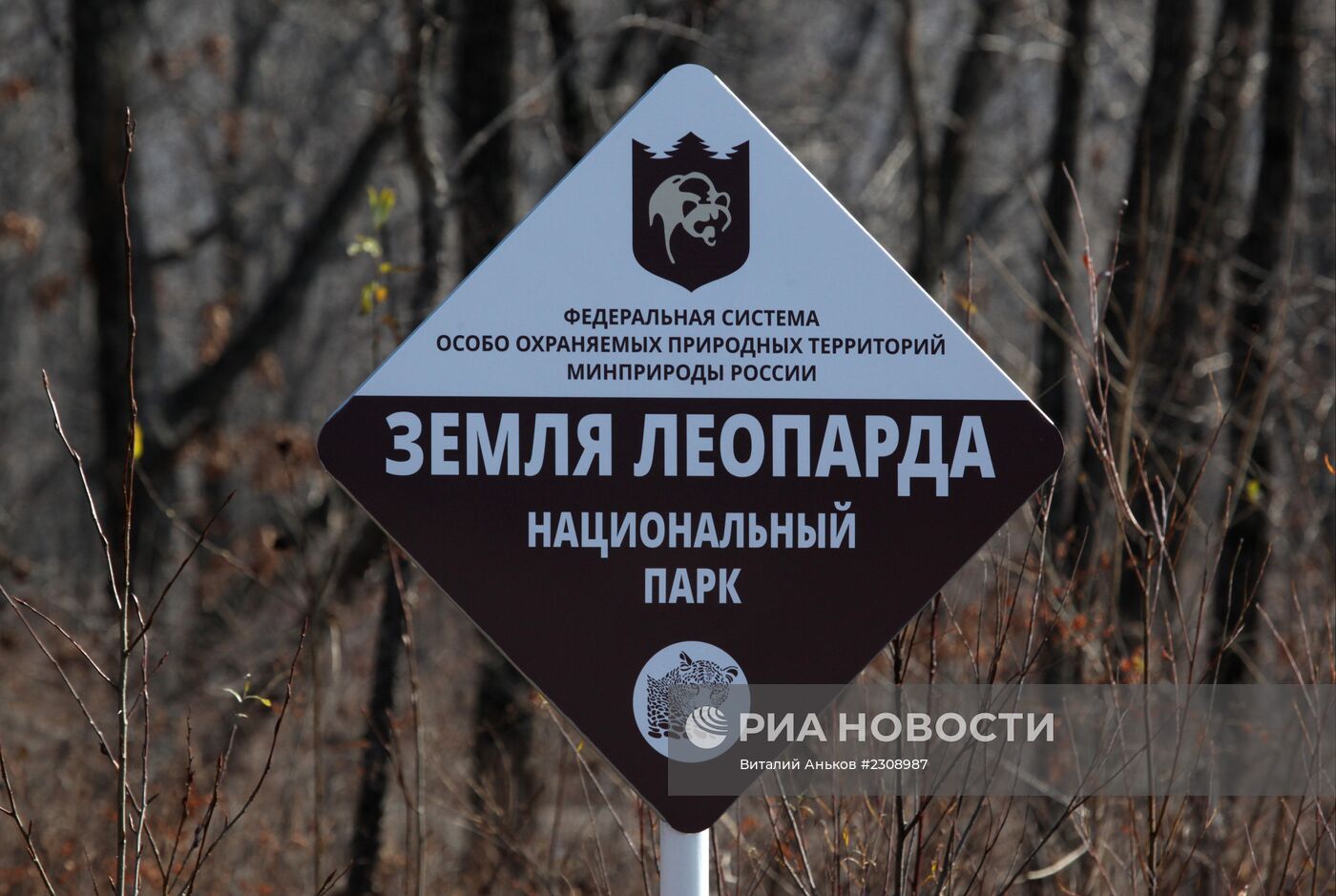 Национальный парк "Земля леопарда" в Приморском крае