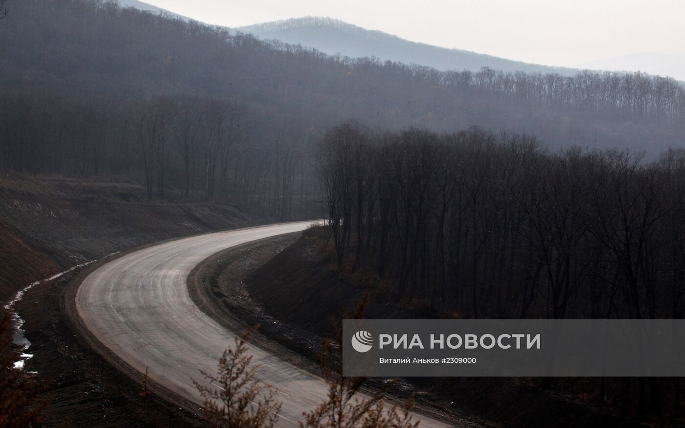 Национальный парк "Земля леопарда" в Приморском крае