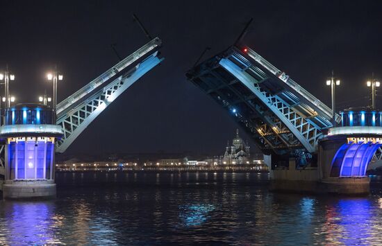Проход судов под разведенным Благовещинским мостом в Санкт-Петербурге
