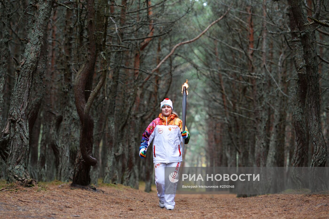Эстафета Олимпийского огня. Калининградская область
