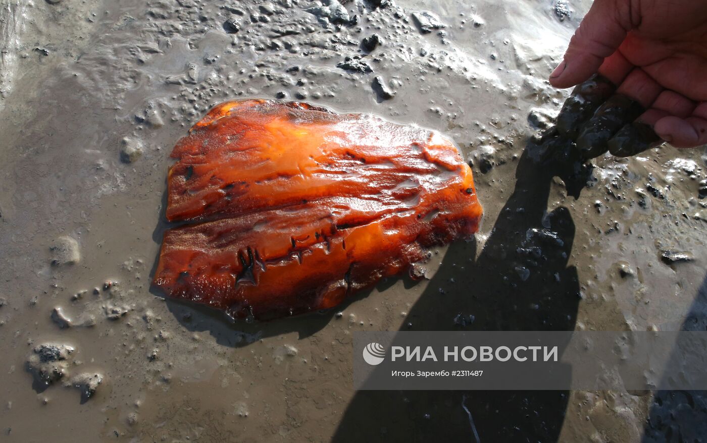 Предприятие "Янтарный комбинат" в Калининградской области