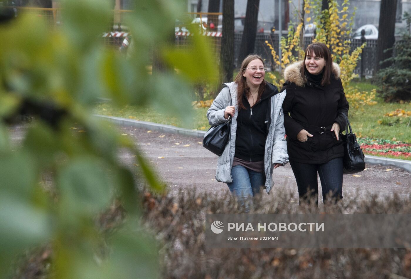 Теплая погода в Москве