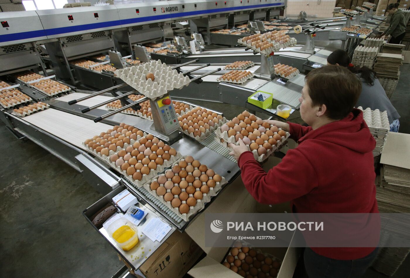 Работа предприятия "1-я Минская птицефабрика" в Белоруссии