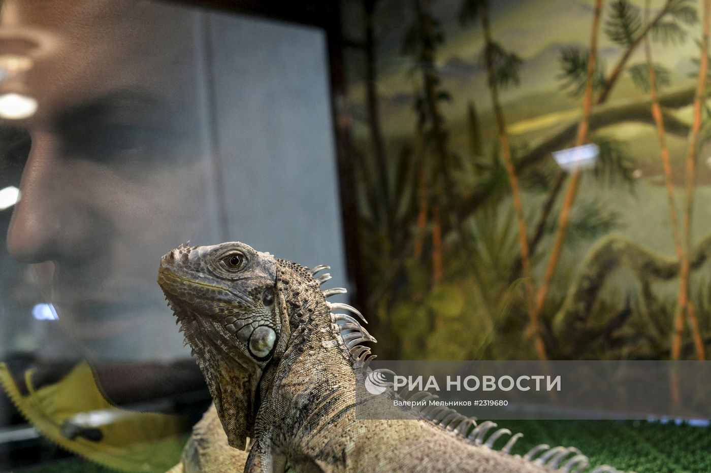 ГБУ Якутский Республиканский зоопарк "Орто Дойду"