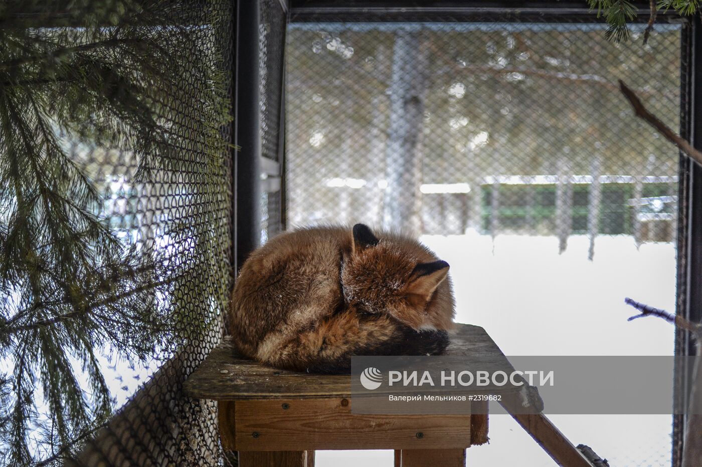 ГБУ Якутский Республиканский зоопарк "Орто Дойду"