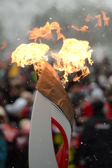 Эстафета Олимпийского огня. Биробиджан