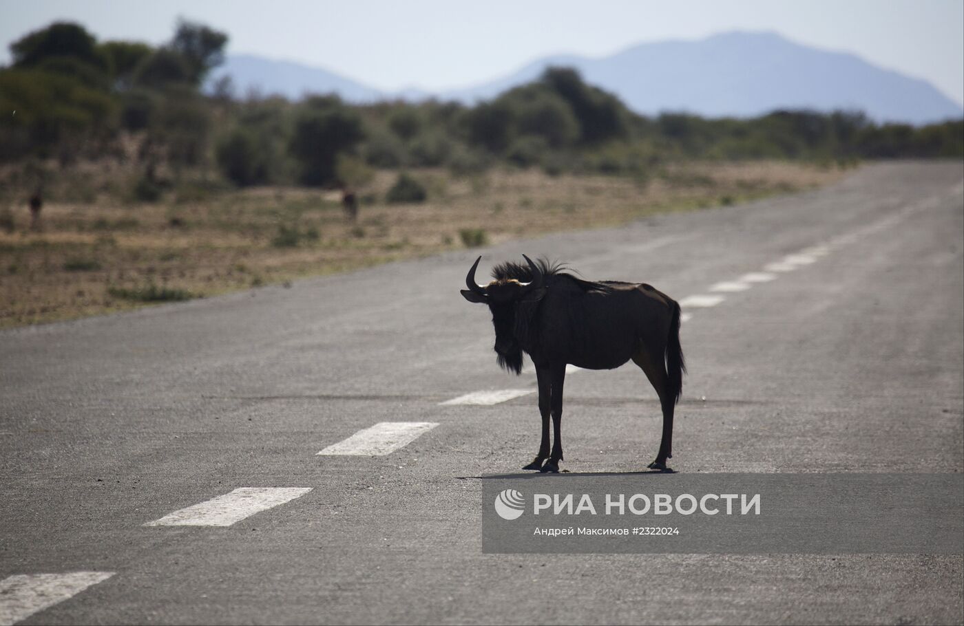 Страны мира. Намибия