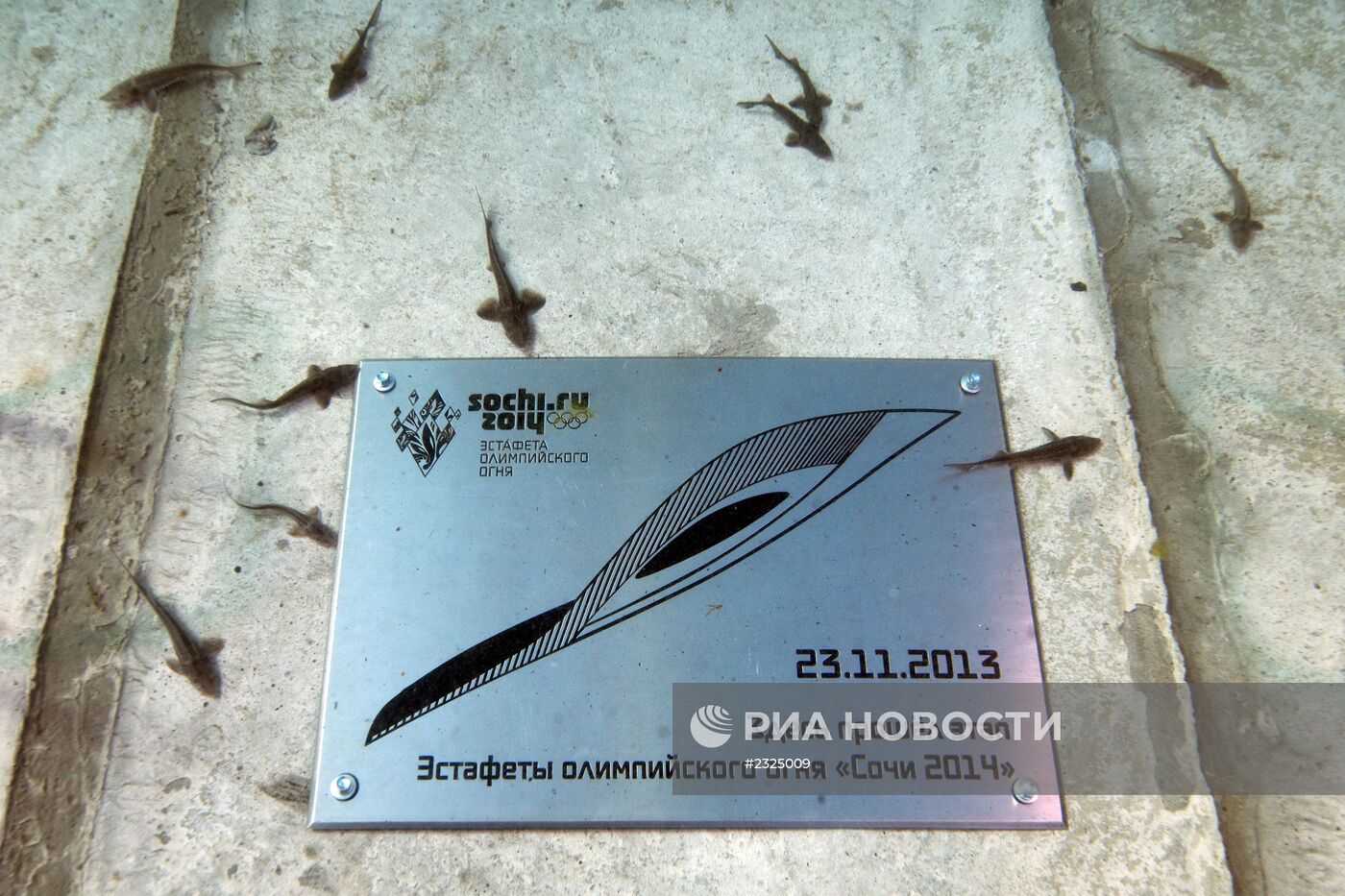 Эстафета Олимпийского огня. Байкал