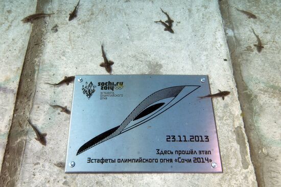 Эстафета Олимпийского огня. Байкал