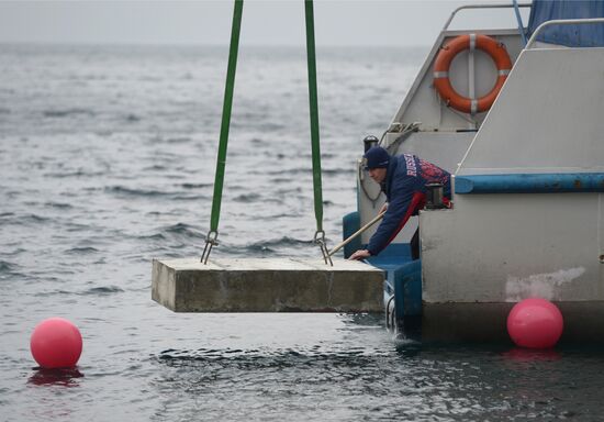 Эстафета Олимпийского огня. Байкал