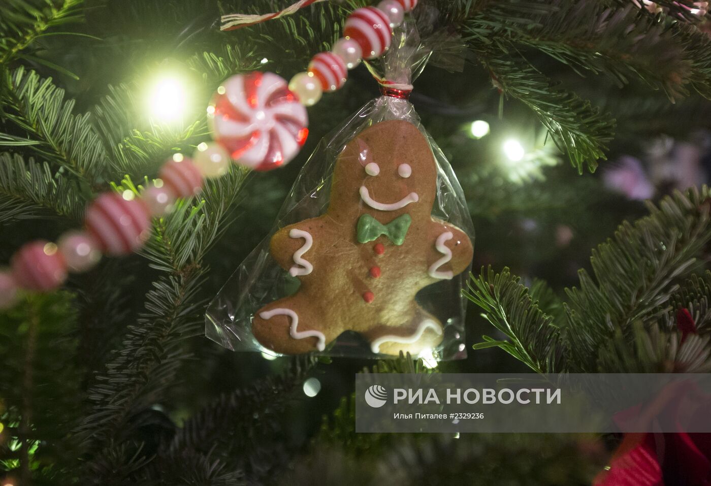 VII Гастрономический фестиваль "Фуд-шоу Christmas"