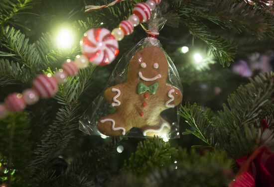 VII Гастрономический фестиваль "Фуд-шоу Christmas"