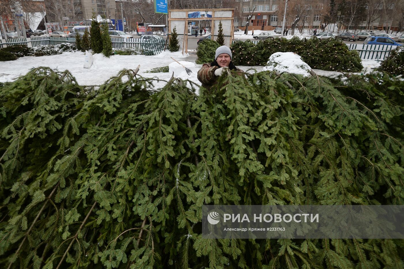 В Новосибирске открылись елочные базары