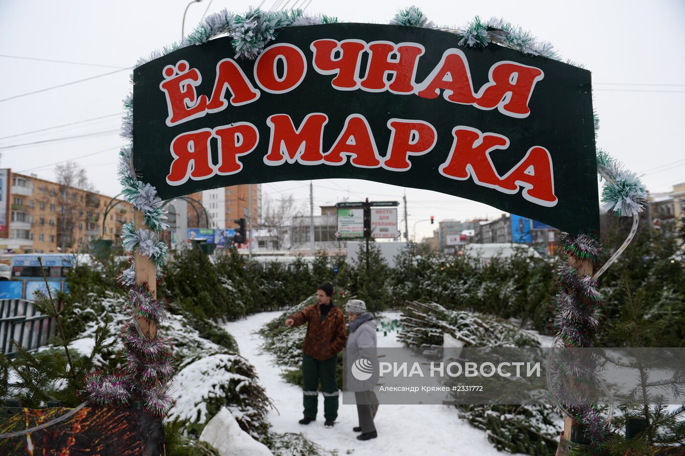 В Новосибирске открылись елочные базары