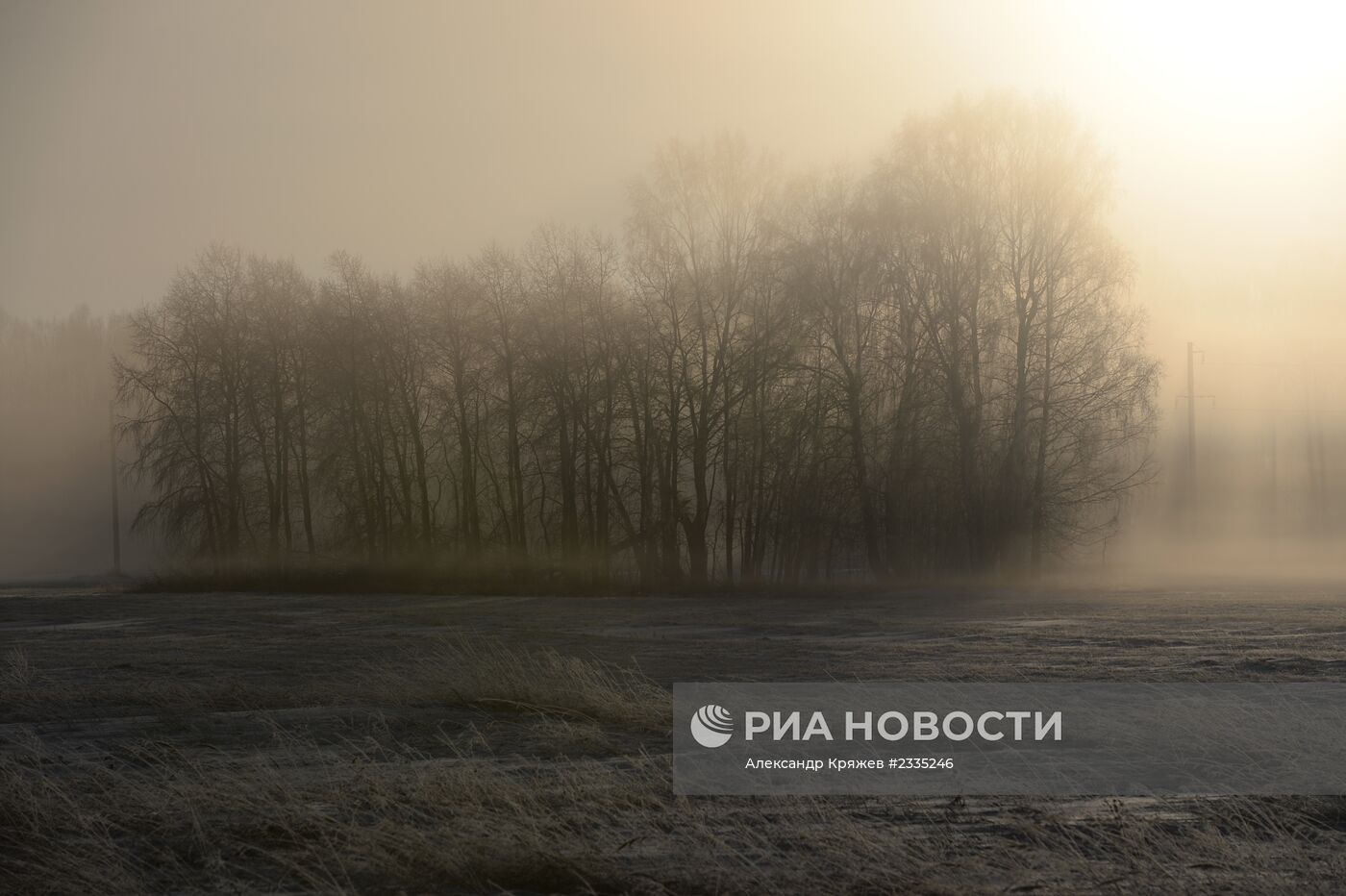 Заготовка леса в Новосибирской области
