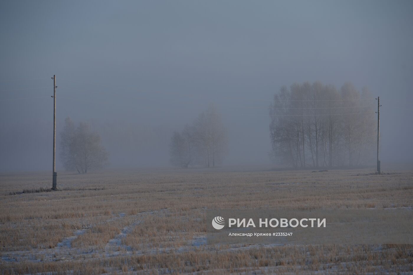 Заготовка леса в Новосибирской области