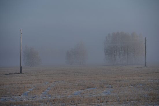 Заготовка леса в Новосибирской области
