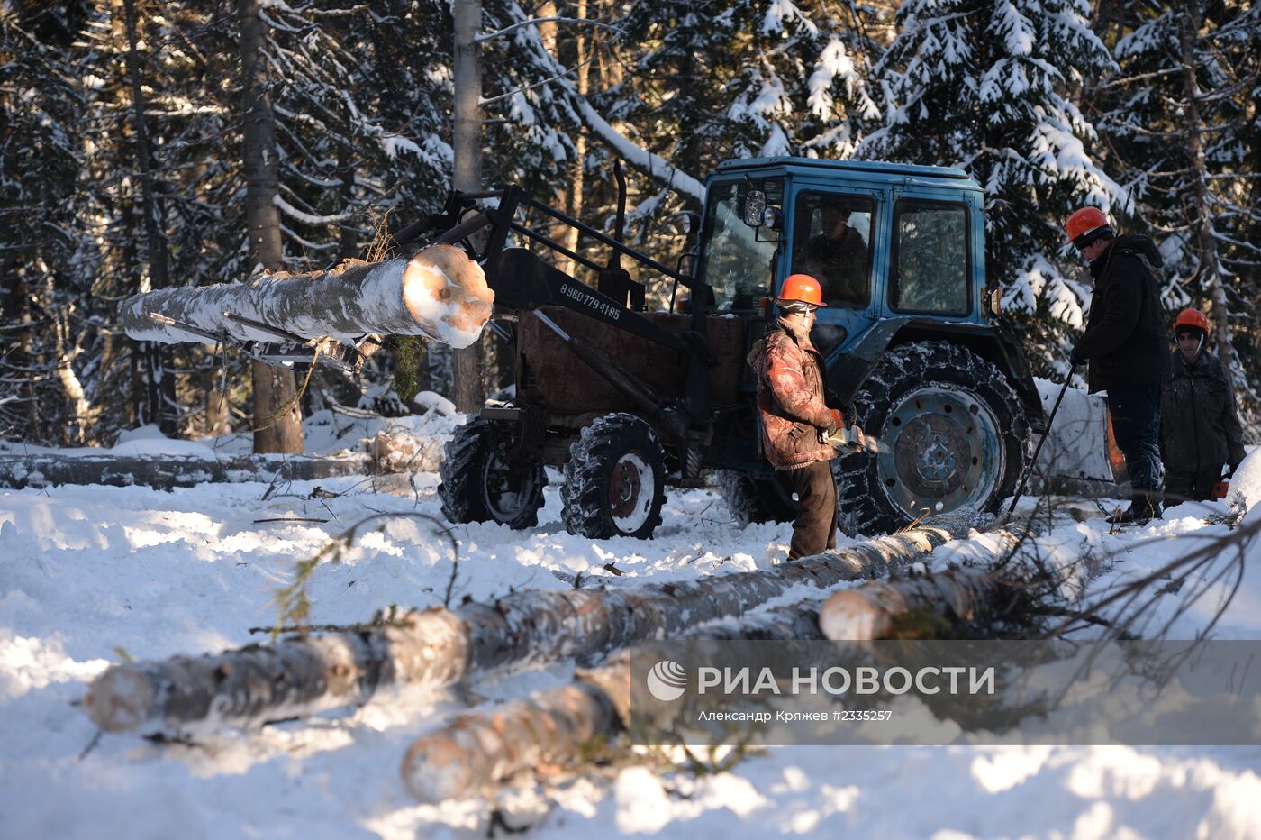 Заготовка леса в Новосибирской области