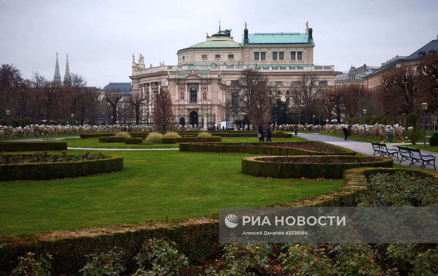 Города мира. Вена