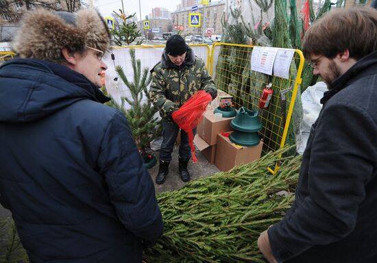Открытие елочных базаров в Москве
