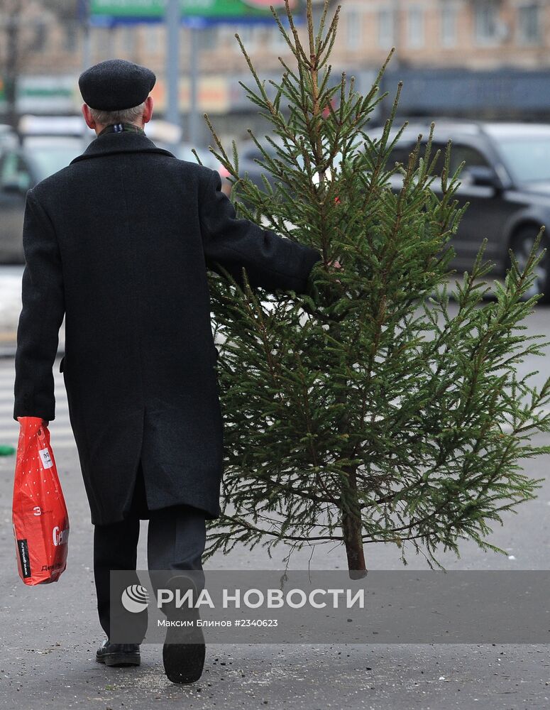 Открытие елочных базаров в Москве