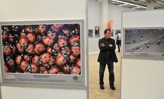 Открытие выставки "Дикая природа России 2013"