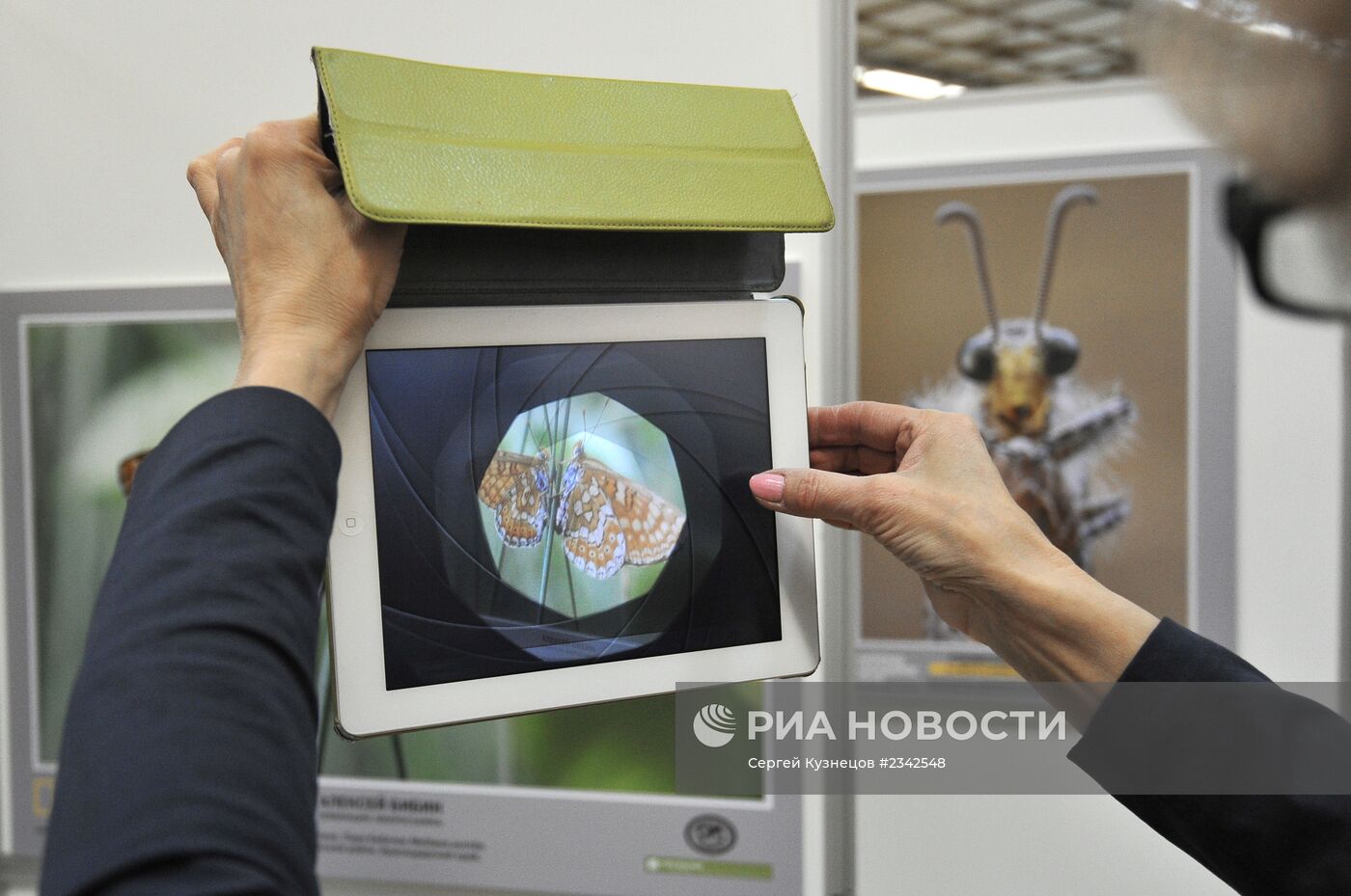 Открытие выставки "Дикая природа России 2013"