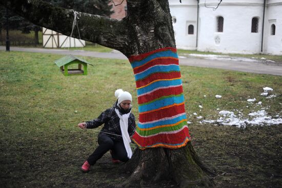 Акция "Одежду деревьям!" в Великом Новгороде