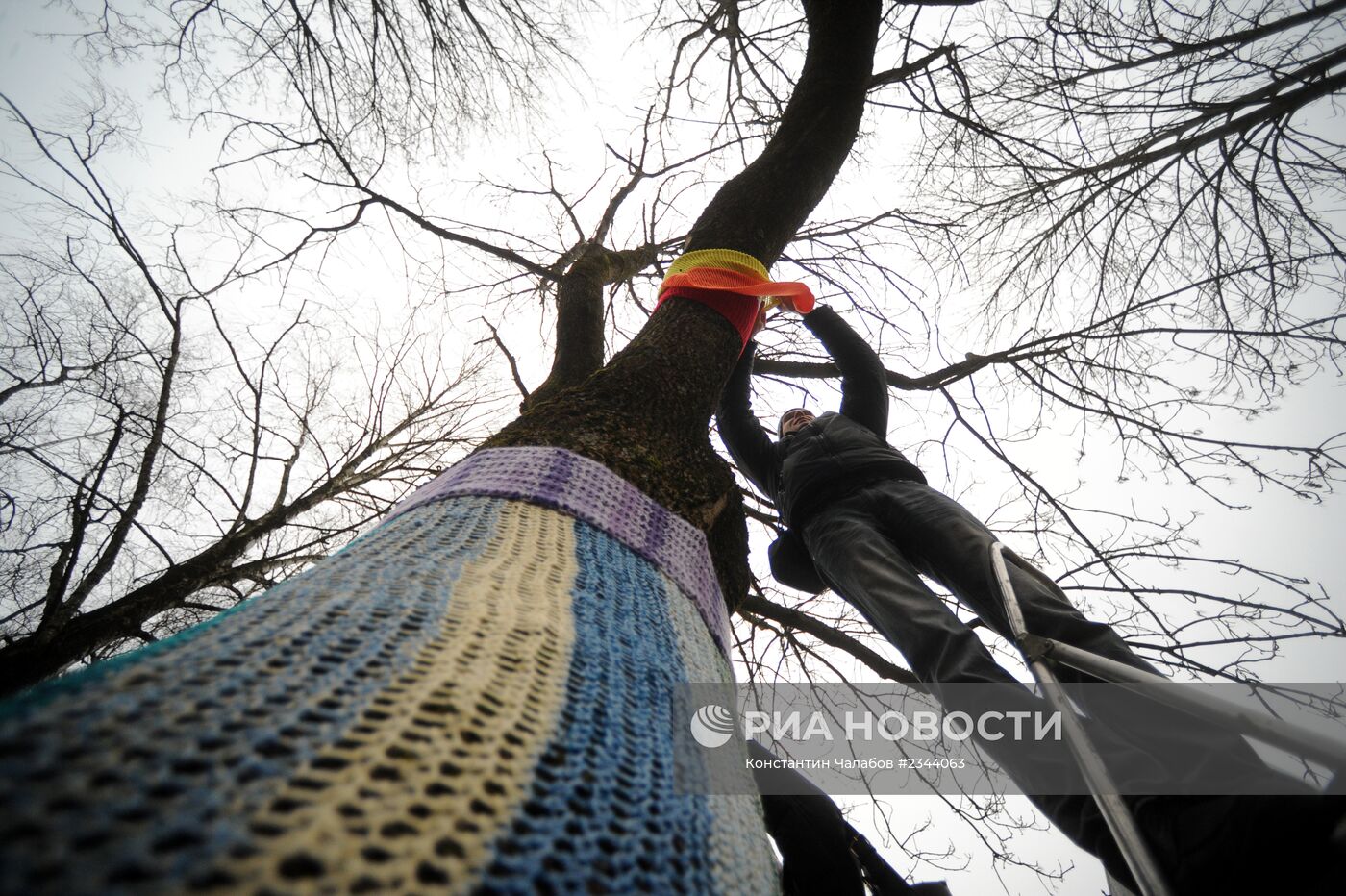 Акция "Одежду деревьям!" в Великом Новгороде