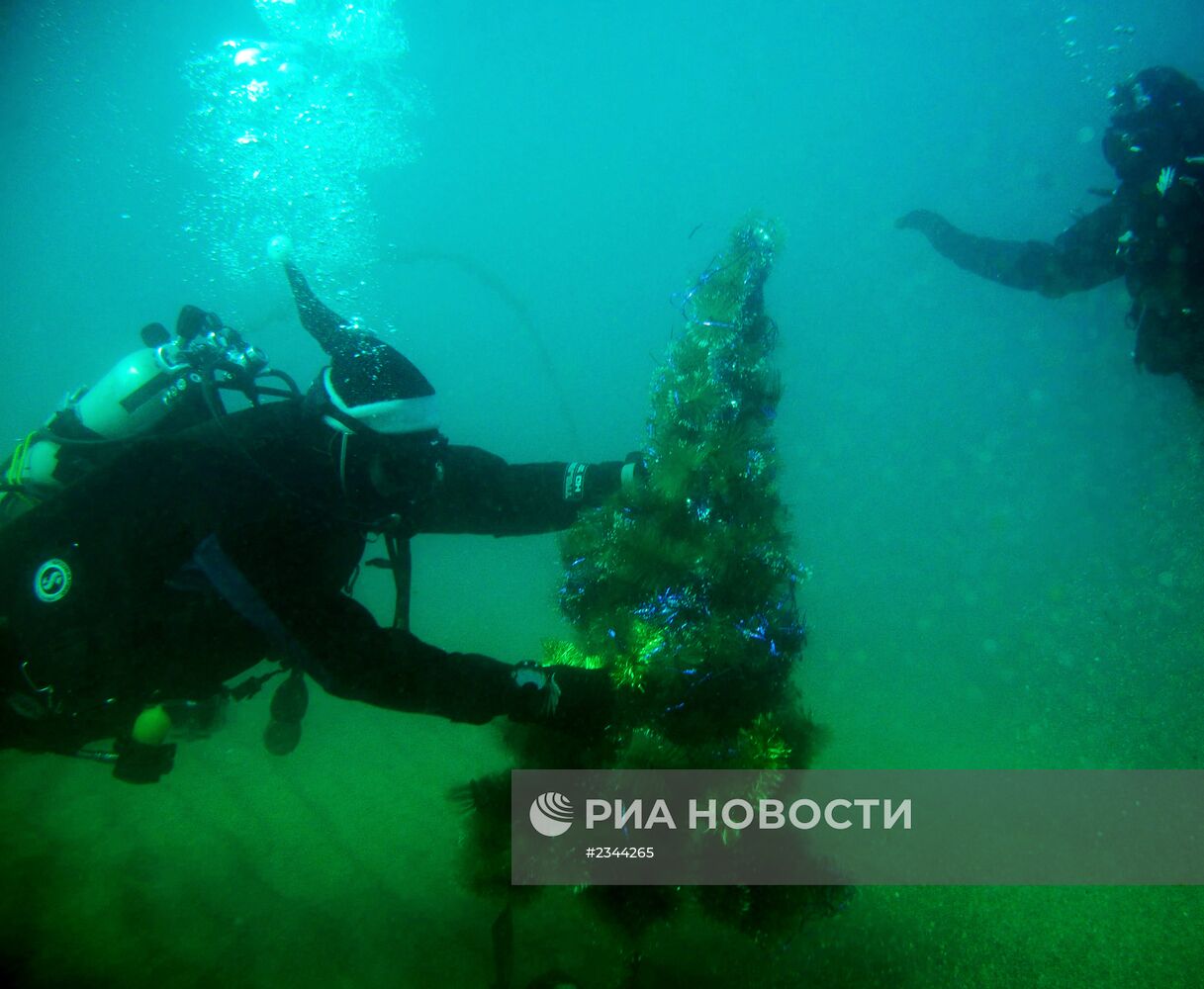 Владивостокские дайверы отметили Новый год под водой
