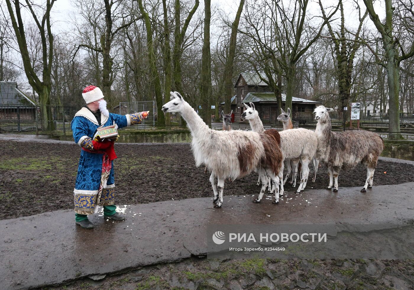 Калининградский зоопарк зимой