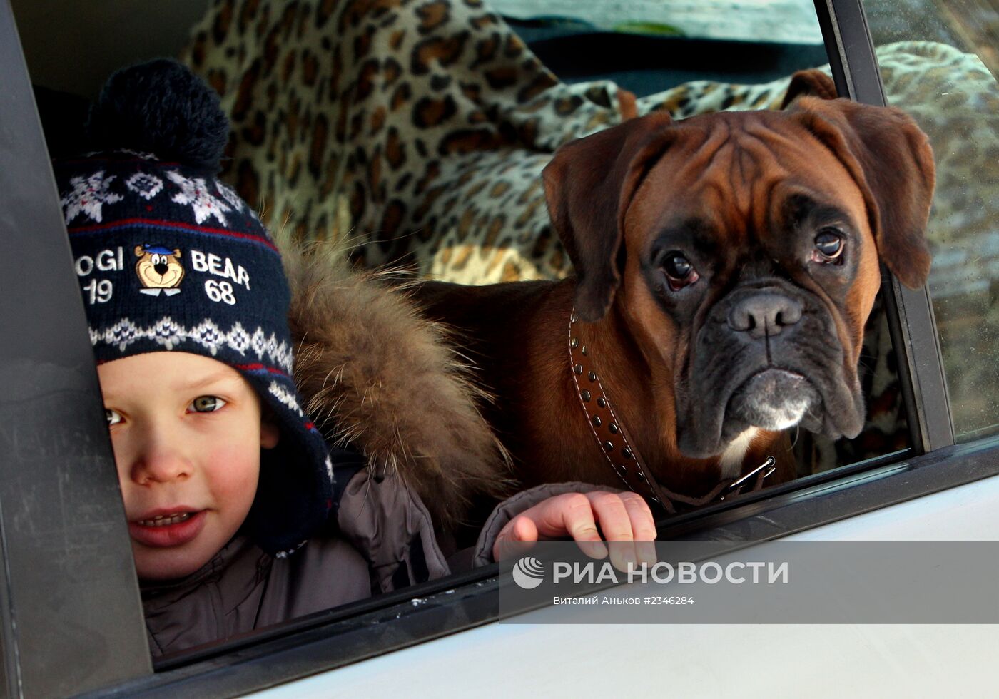 Состязания собачьих упряжек прошли в Приморском крае